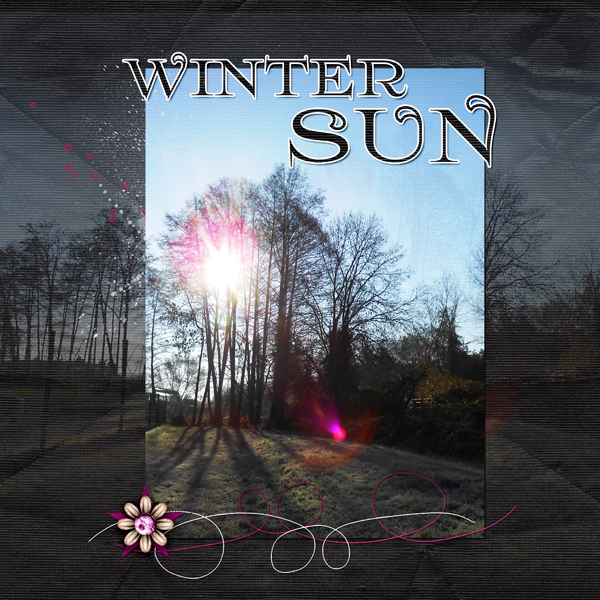 Winter Sun