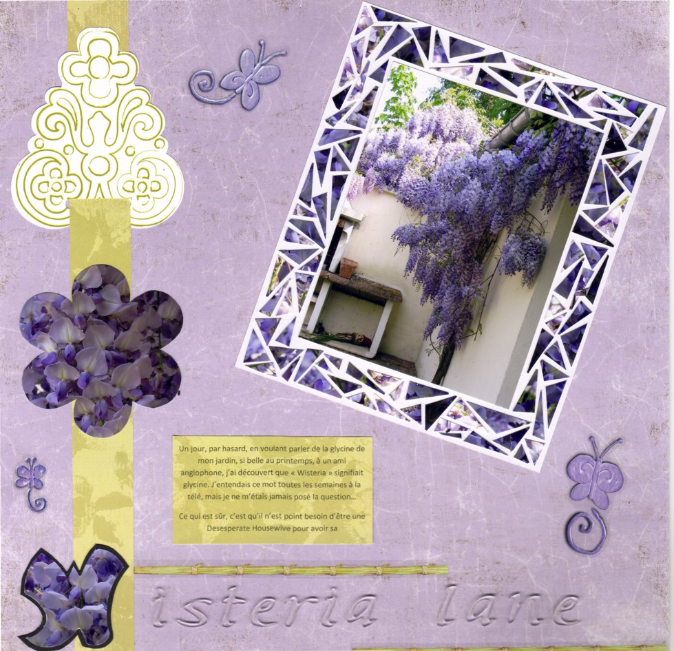 Wisteria Lane