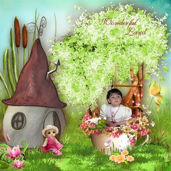 WONDERFUL LAND