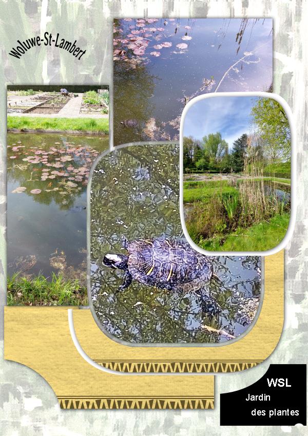 WSL Jardin des plantes