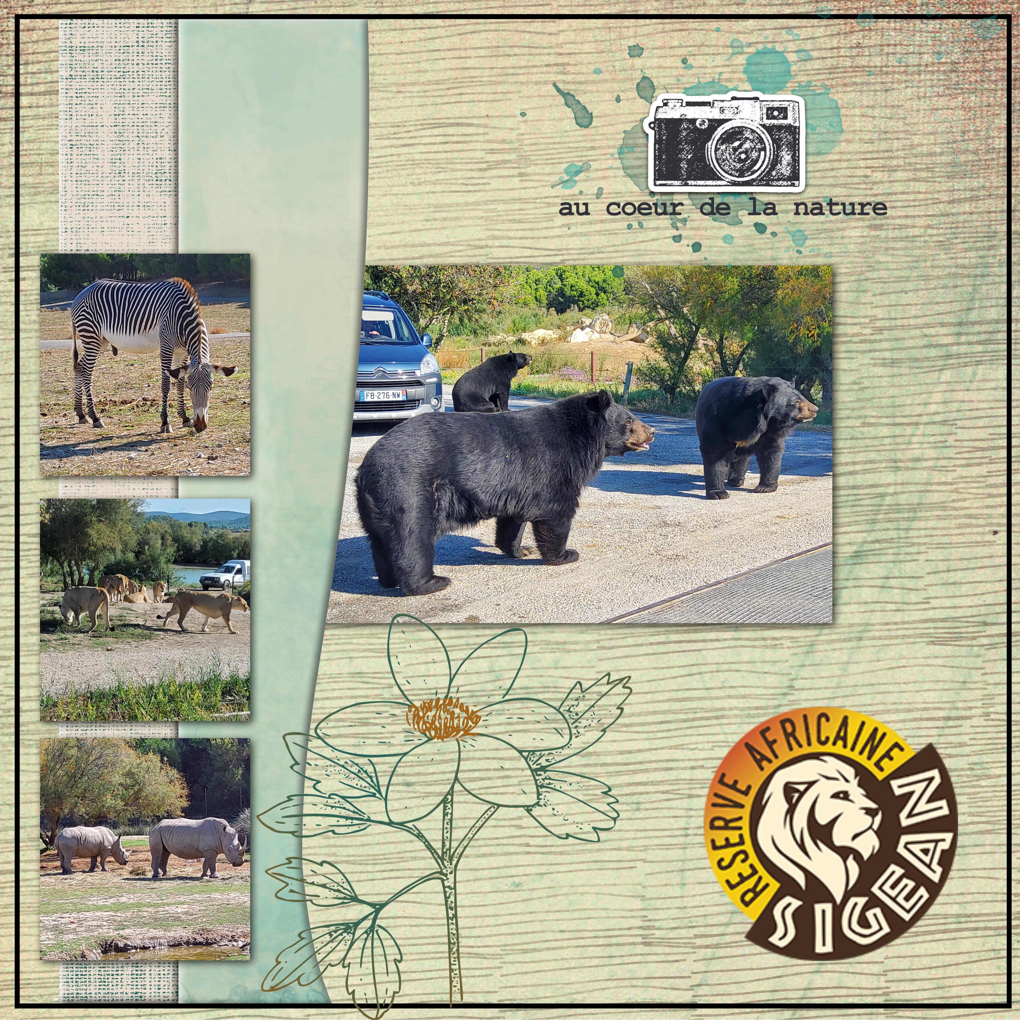 zebre lion rhino ours (page 2).jpg