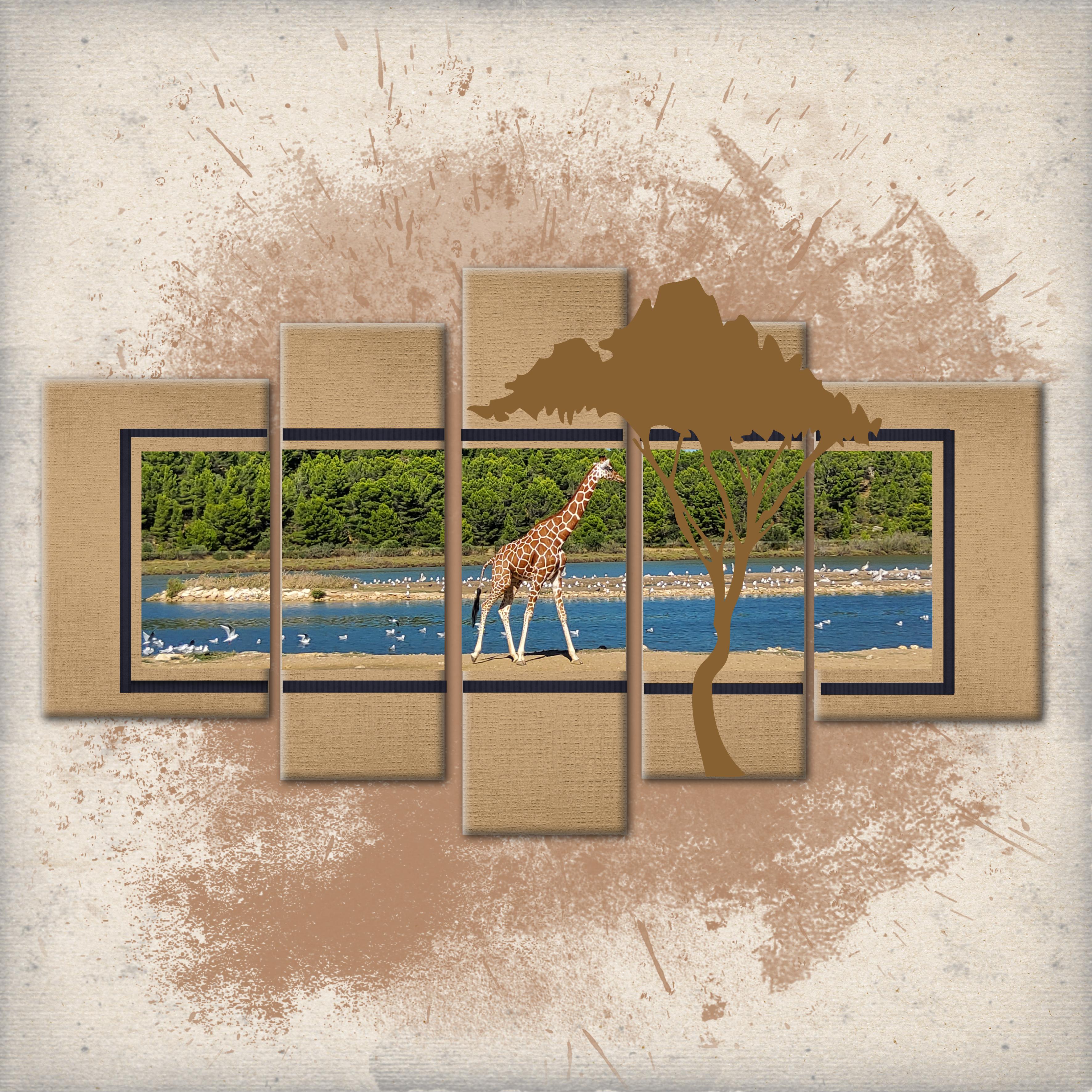 zebre lion rhino ours (page 3).jpg