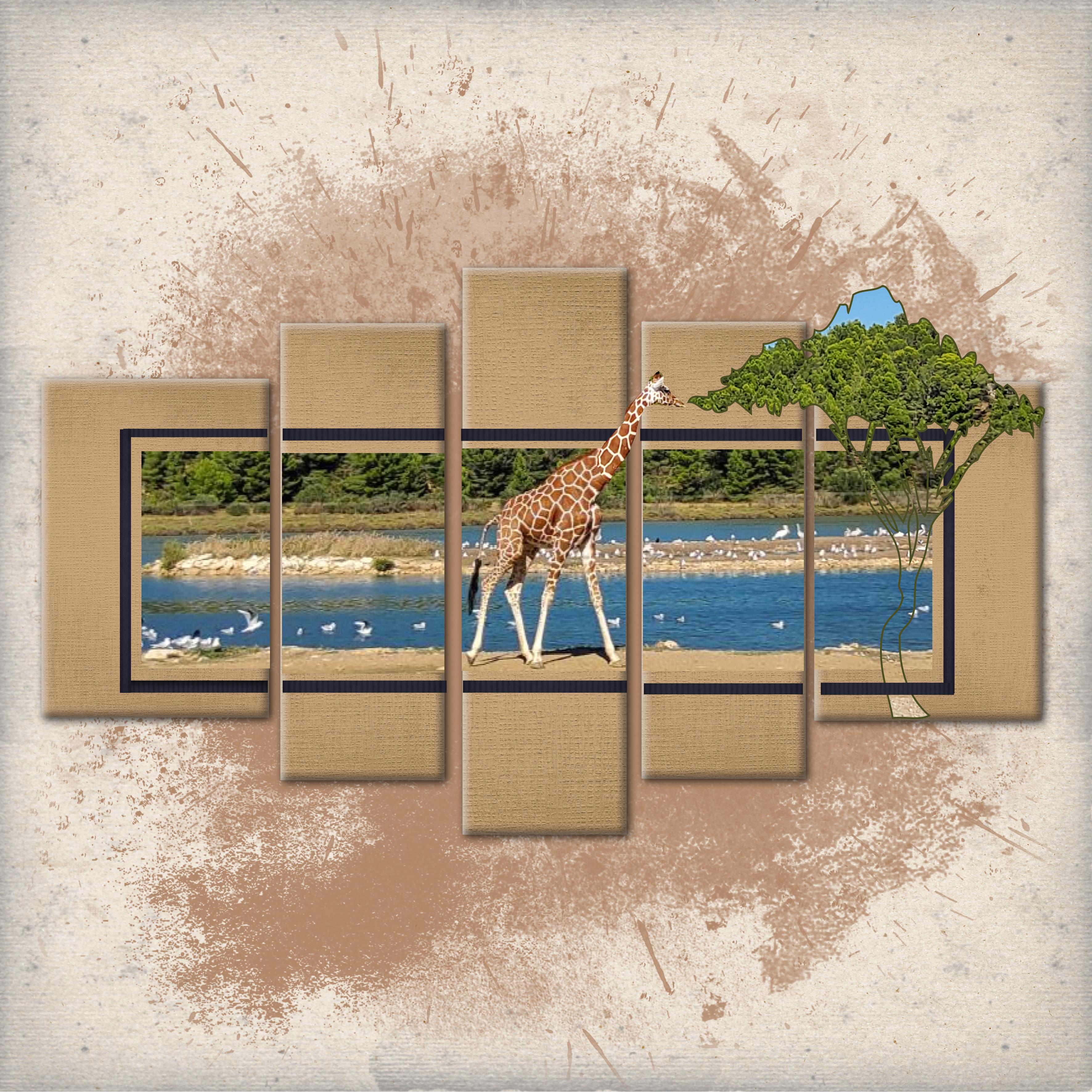 zebre lion rhino ours (page 5).jpg