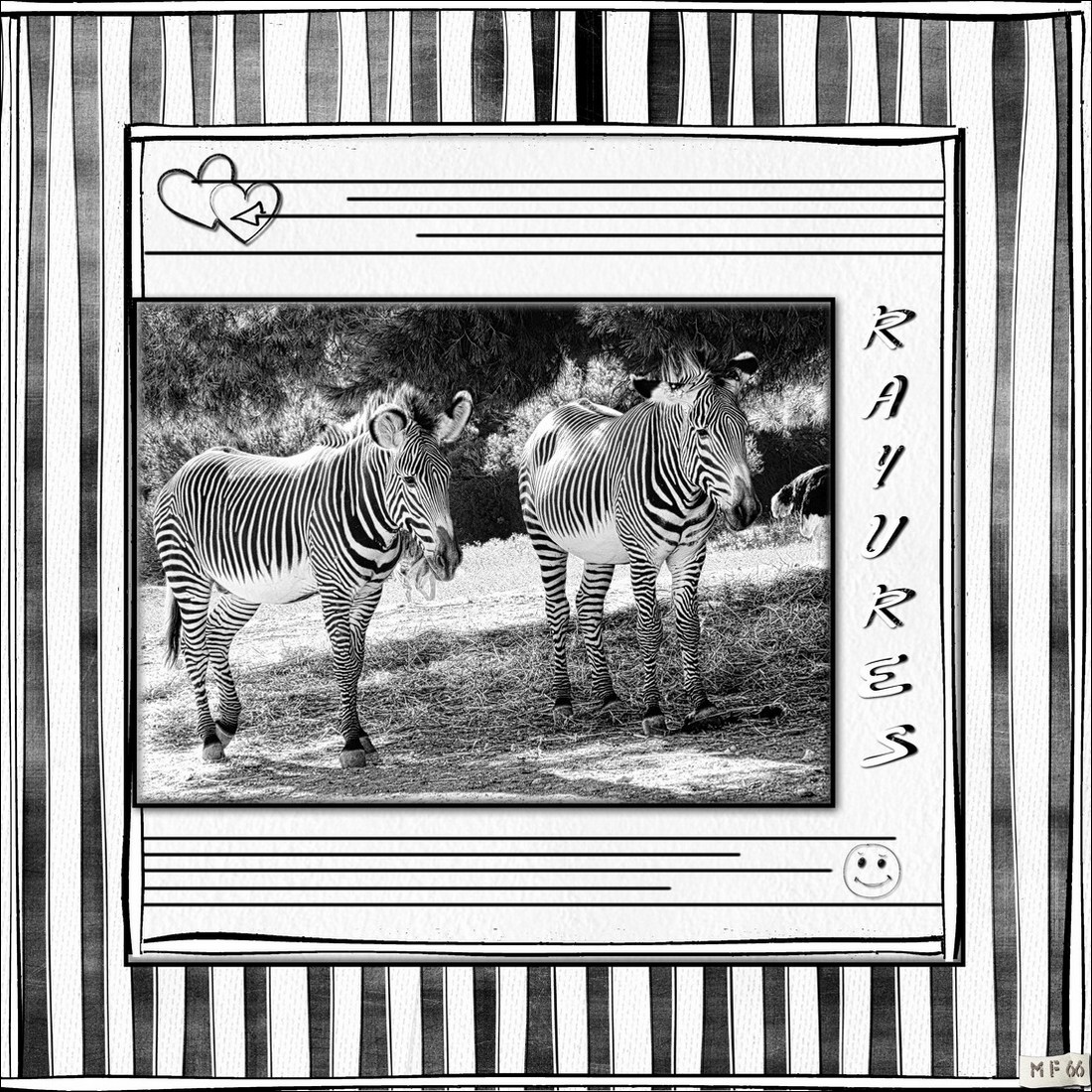 Zébres Sigean 06.2017.jpg