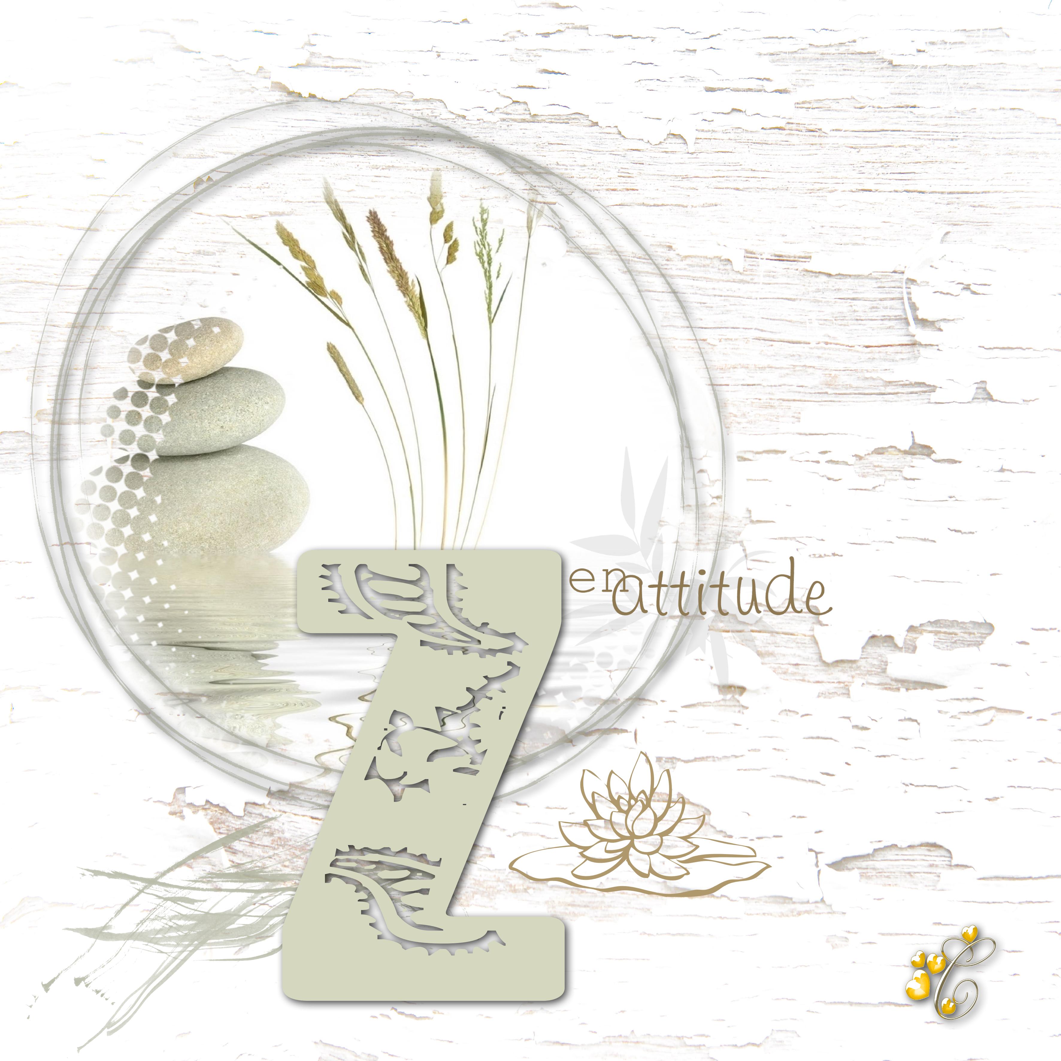 zen attitude. Christine jpg