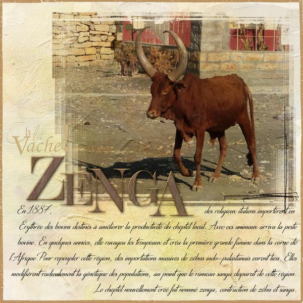 Zenga, vache africaine