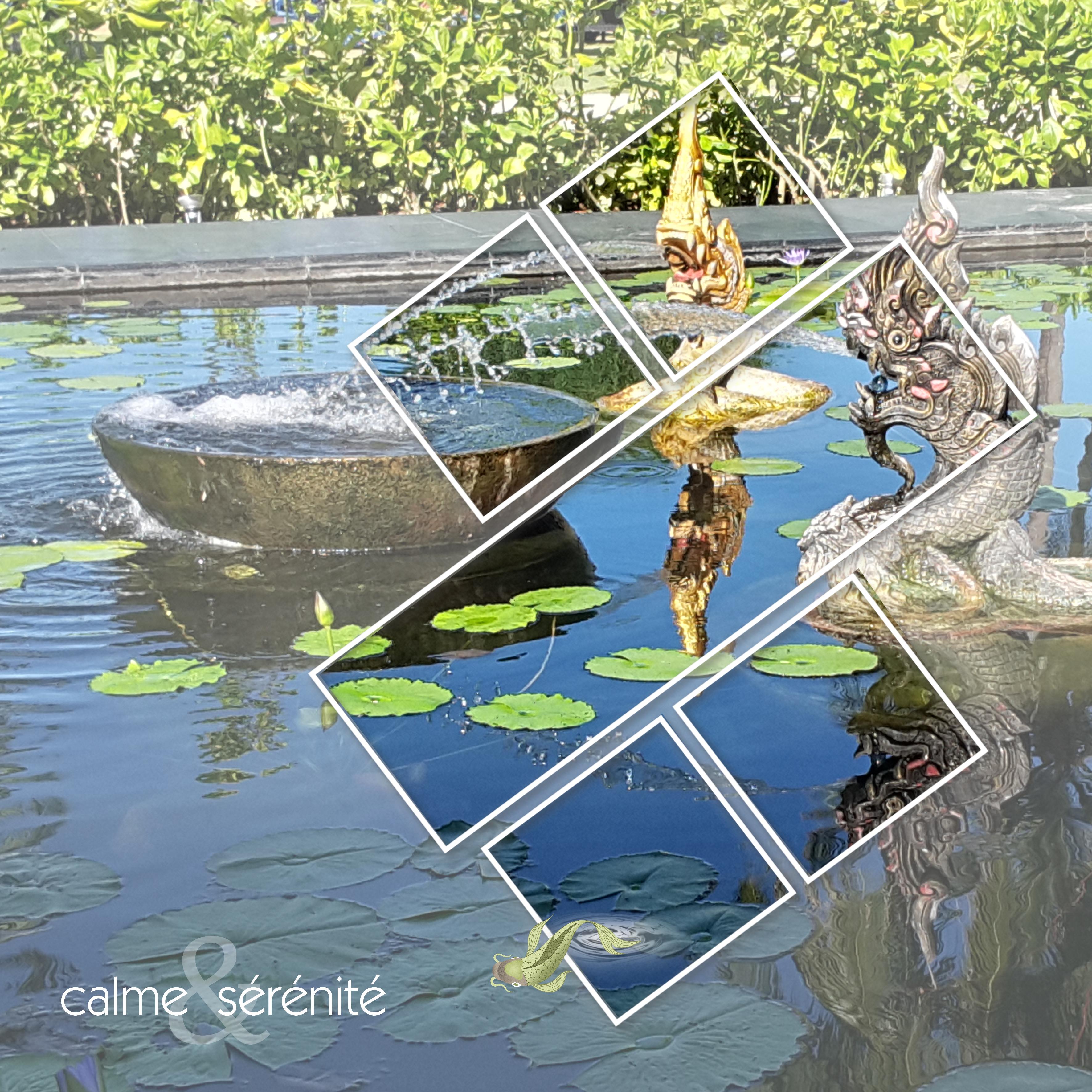 Zenitude (page 5).jpg