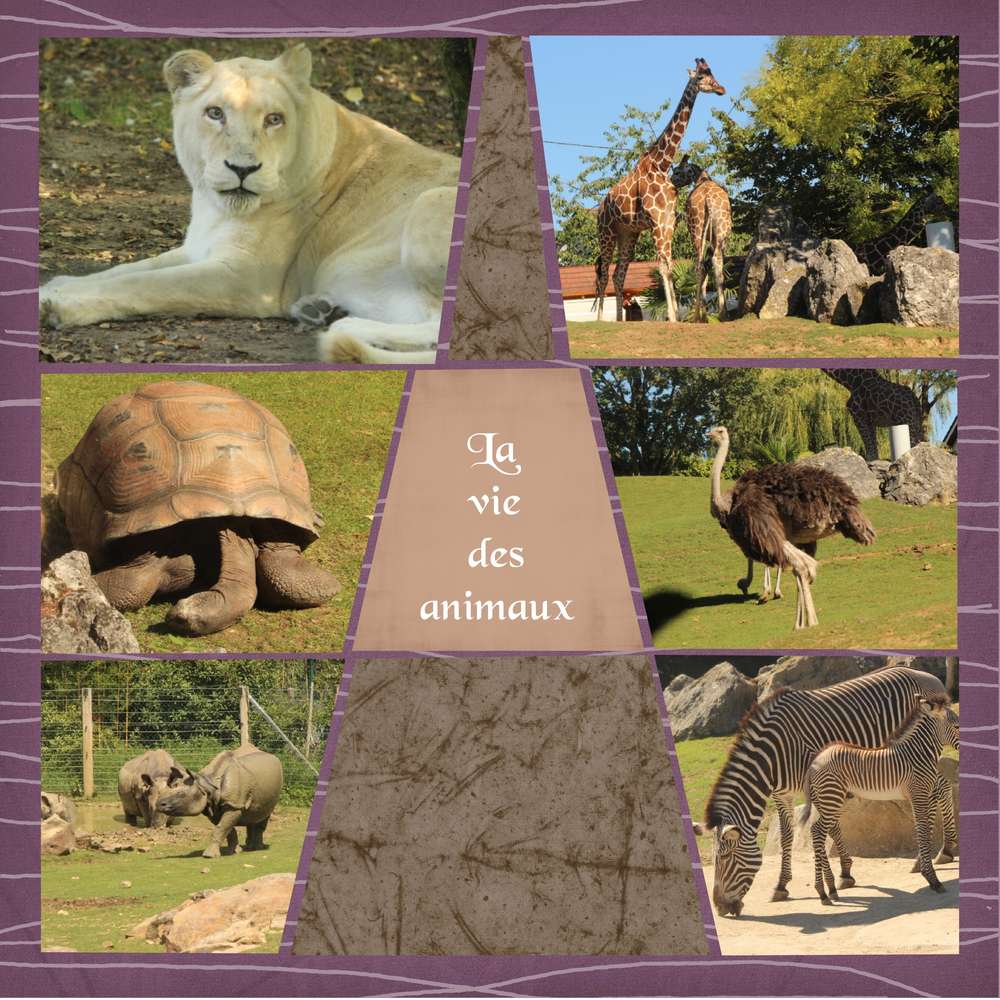 Zoo de Beauval