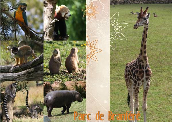 Zoo de Branféré
