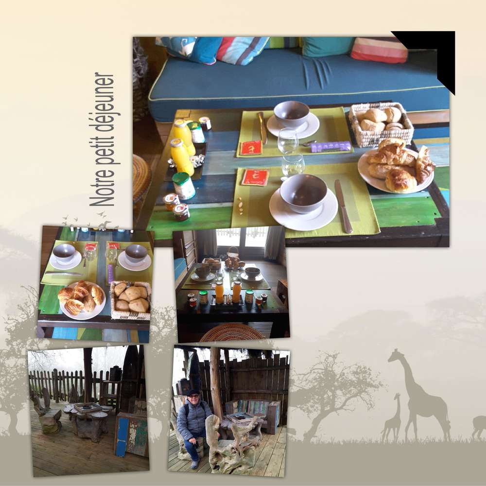 Zoo de La Flèche et Safari Lodge