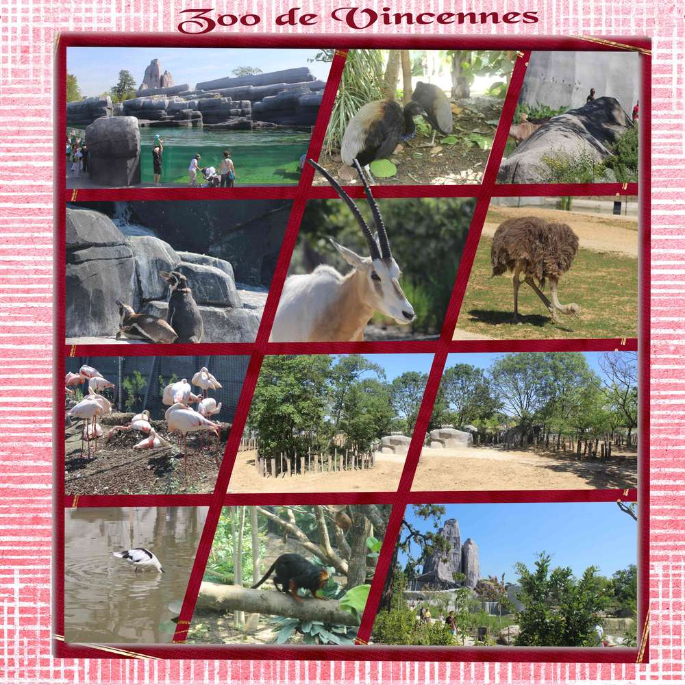 zoo de vincennes