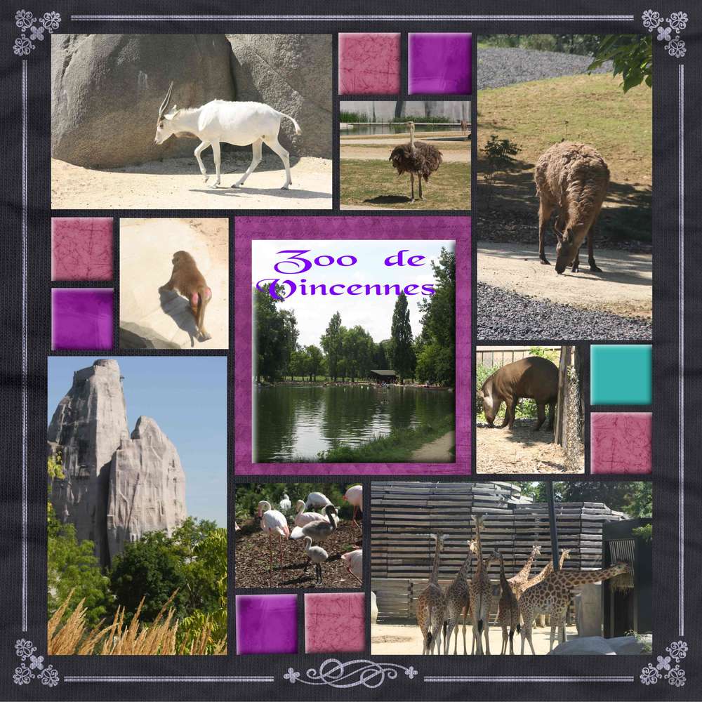 zoo de vincennes