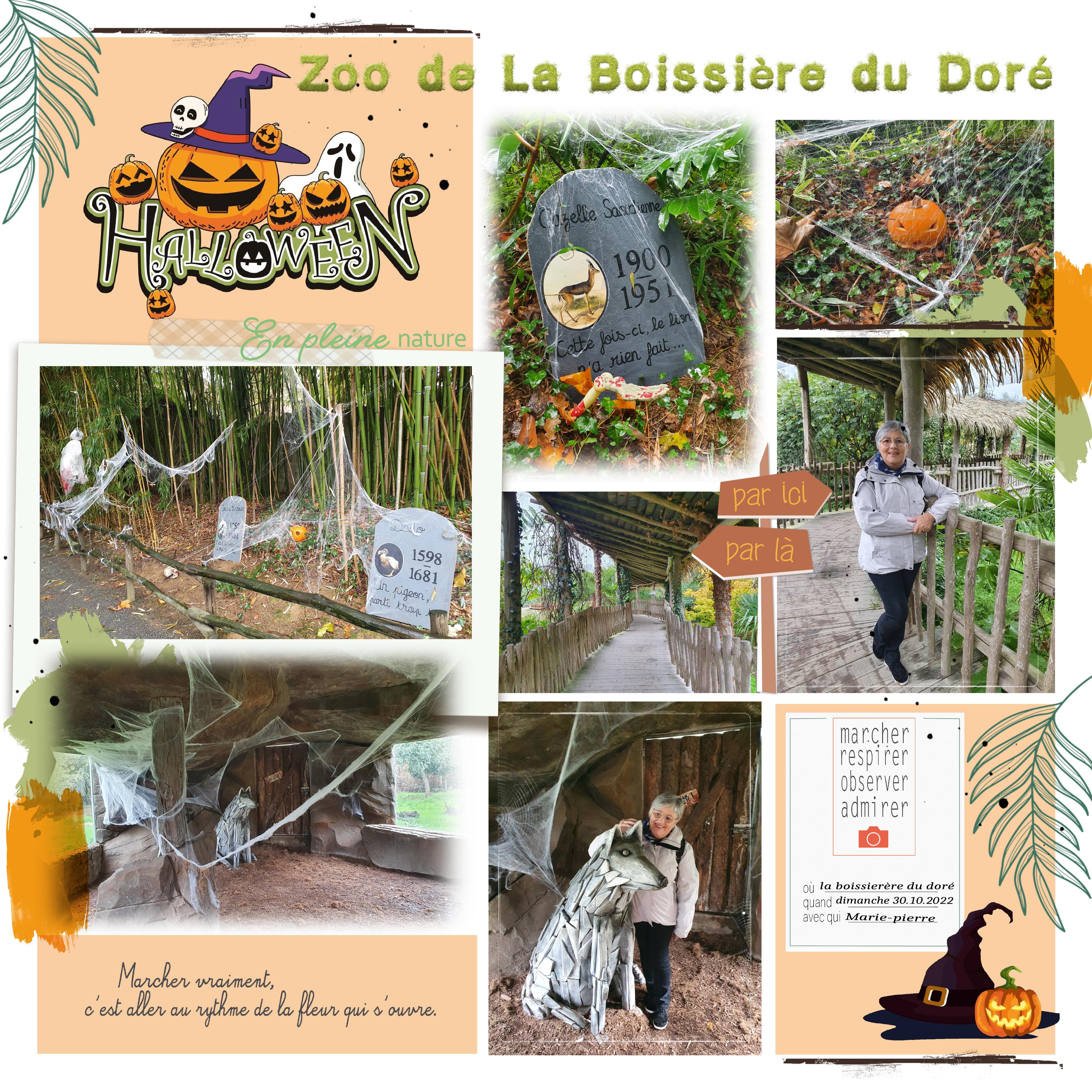 ZOO LA BOISSIERE  DU DORE 2022-1.jpg