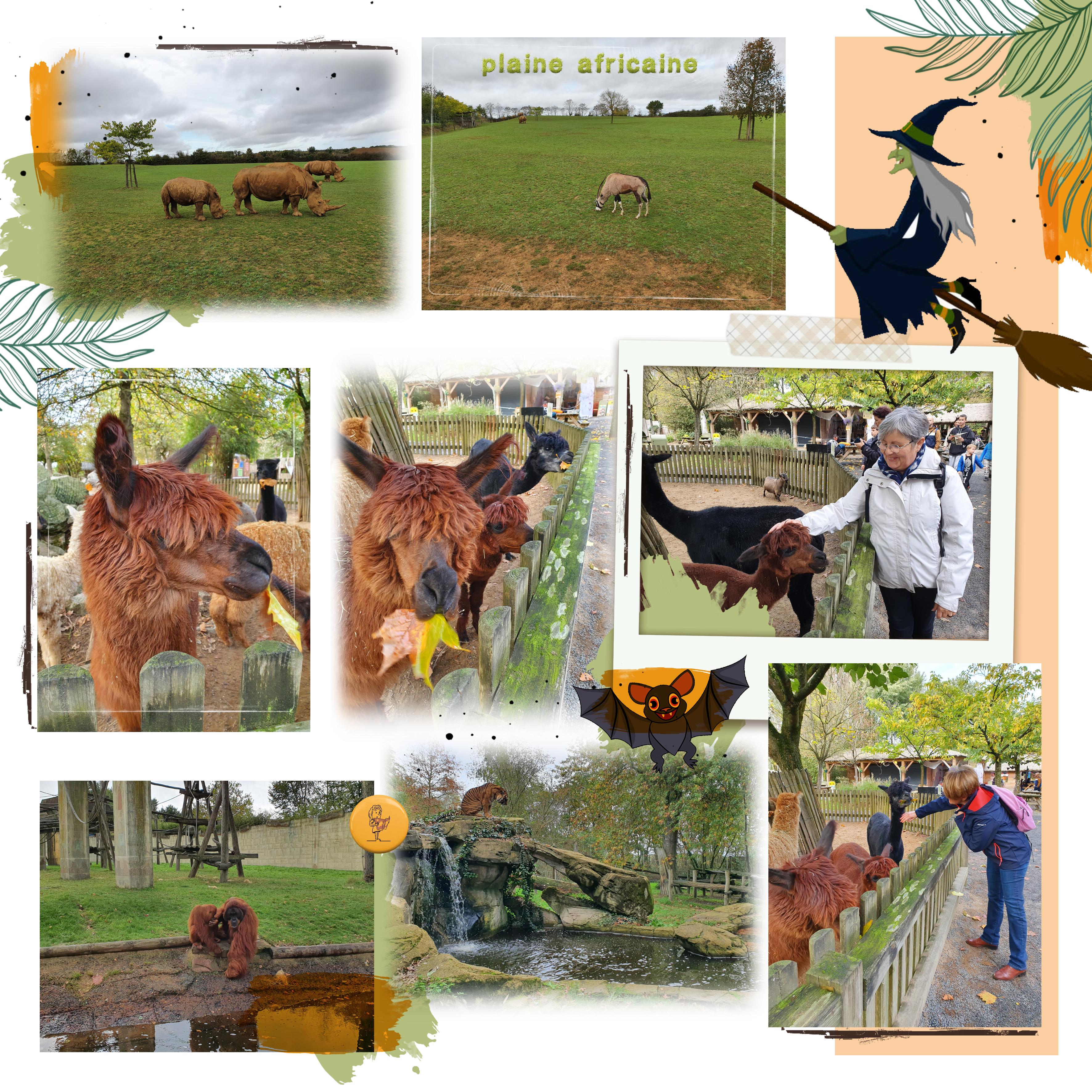 ZOO LA BOISSIERE DU DORE 2022-3.jpg