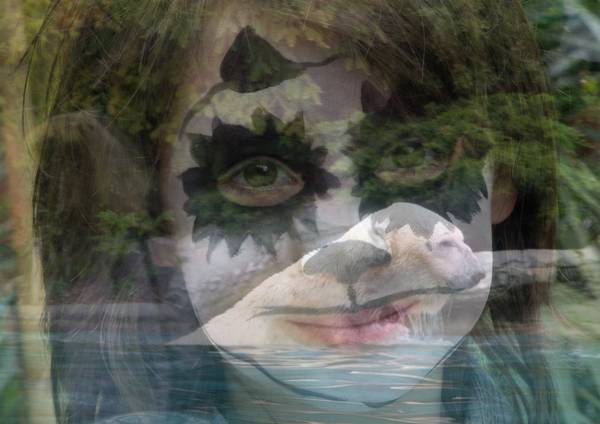 zoo_de_la_fleche_2009-1