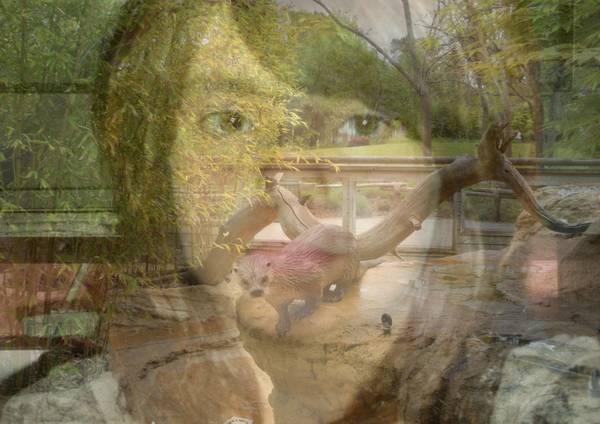 zoo_de_la_fleche_20091-1