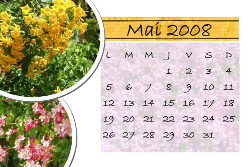 calendrier.jpg