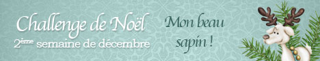 bandeau-2eme-semaine-mon-beau-sapin.jpg